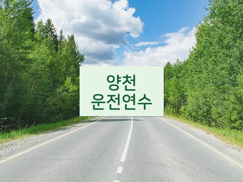 양천운전연수 후기