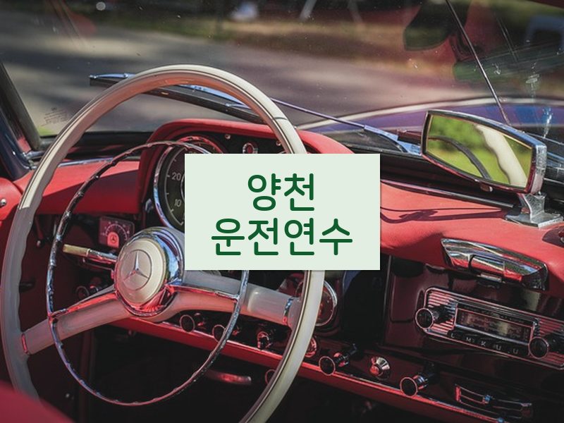 양천운전연수 후기