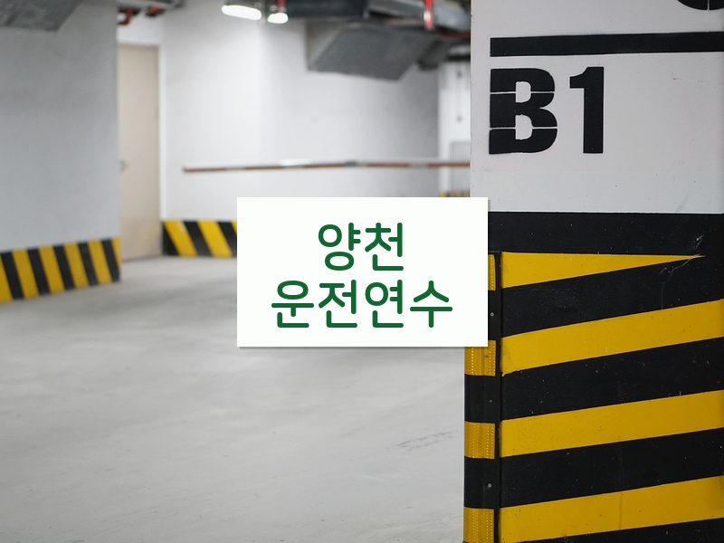 양천운전연수 후기