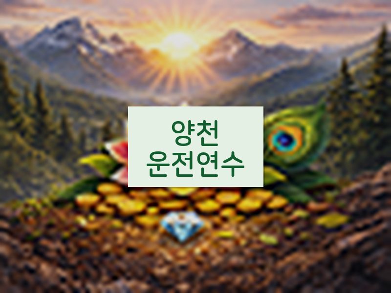 양천운전연수 후기