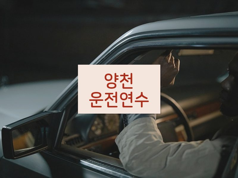 양천운전연수 후기