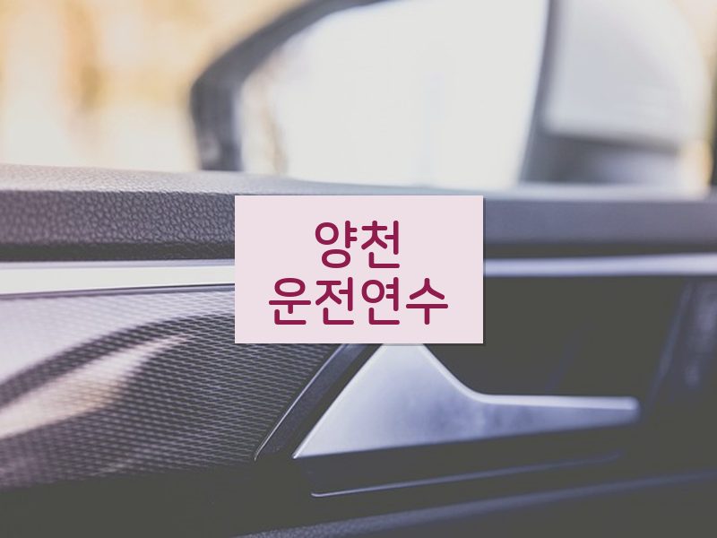 양천운전연수 후기