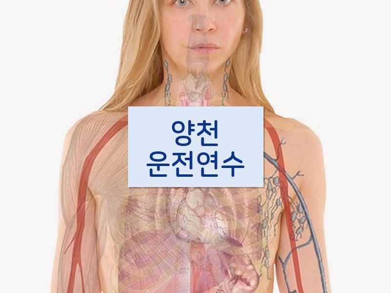 양천운전연수 후기