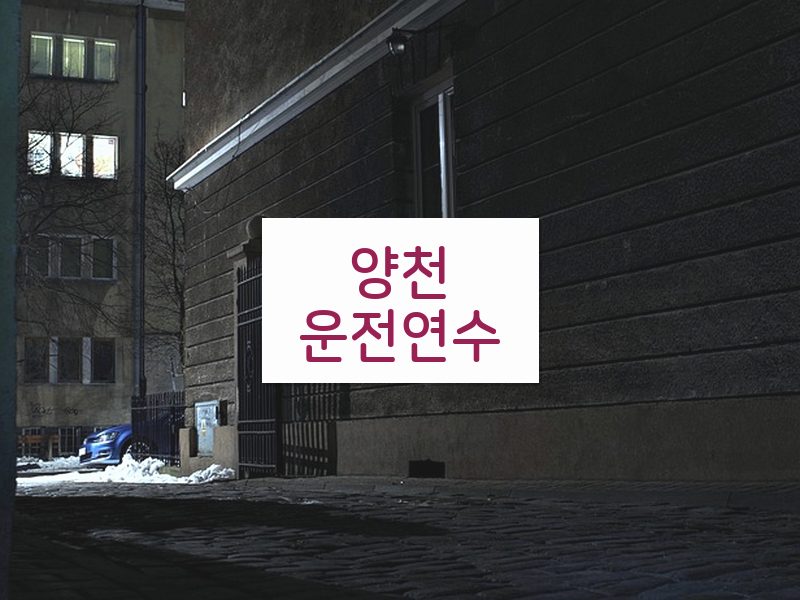 양천운전연수 후기
