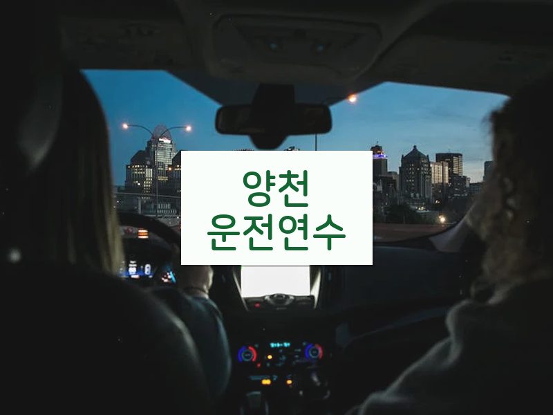 양천운전연수 후기