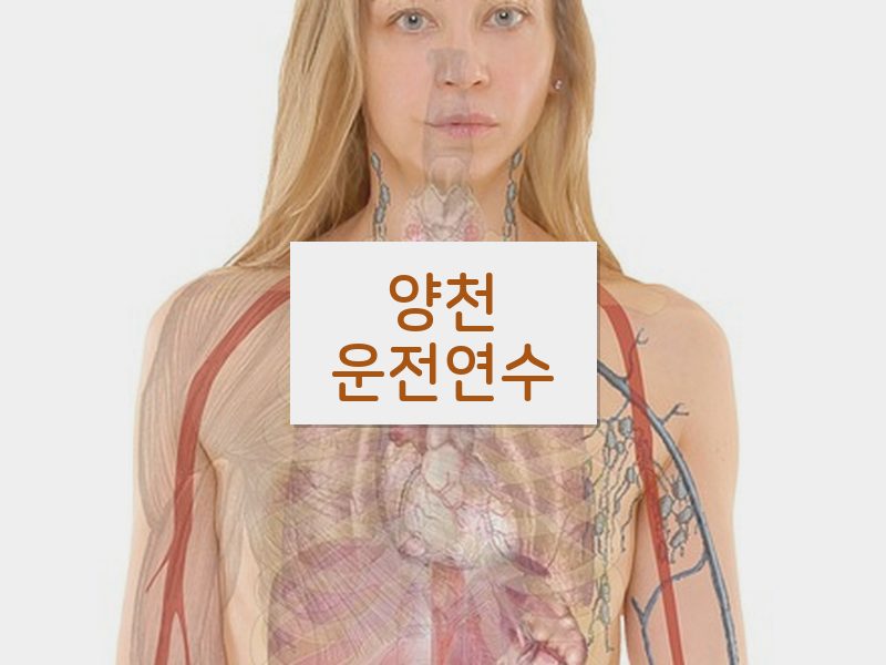 양천운전연수 후기
