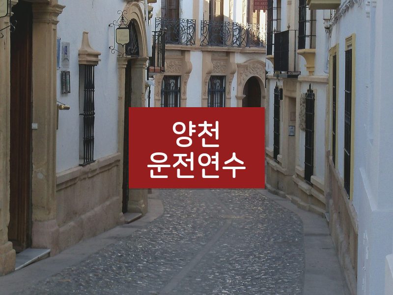 양천운전연수 후기