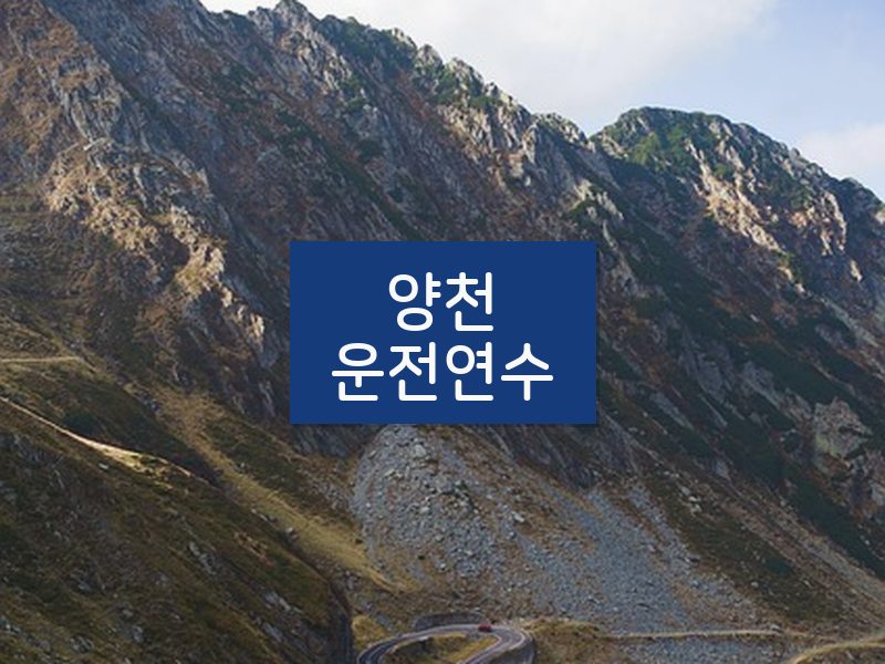 양천운전연수 후기
