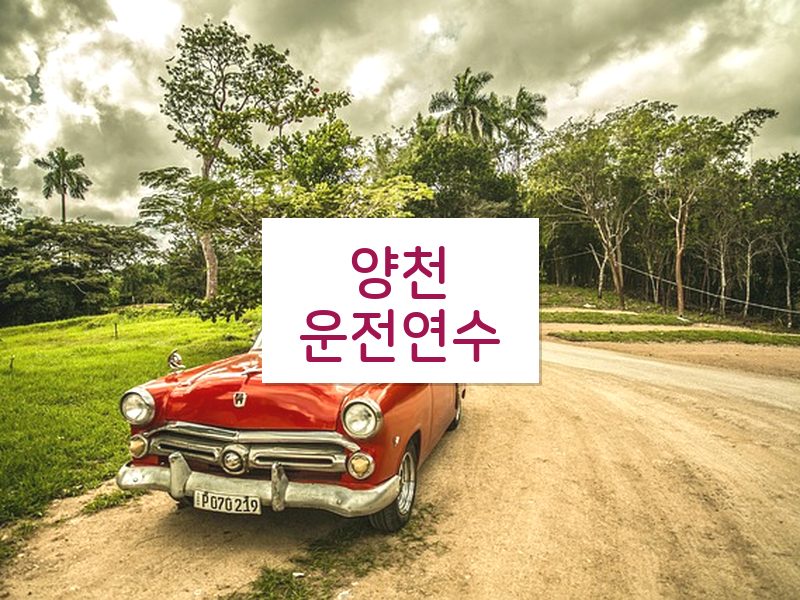양천운전연수 후기