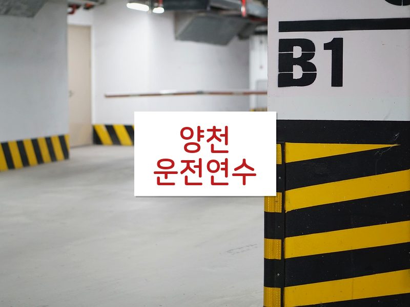 양천운전연수 후기