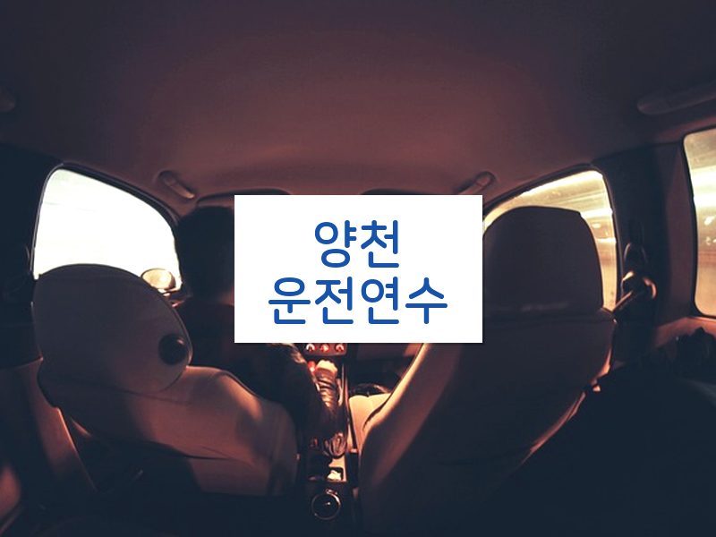 양천운전연수 후기