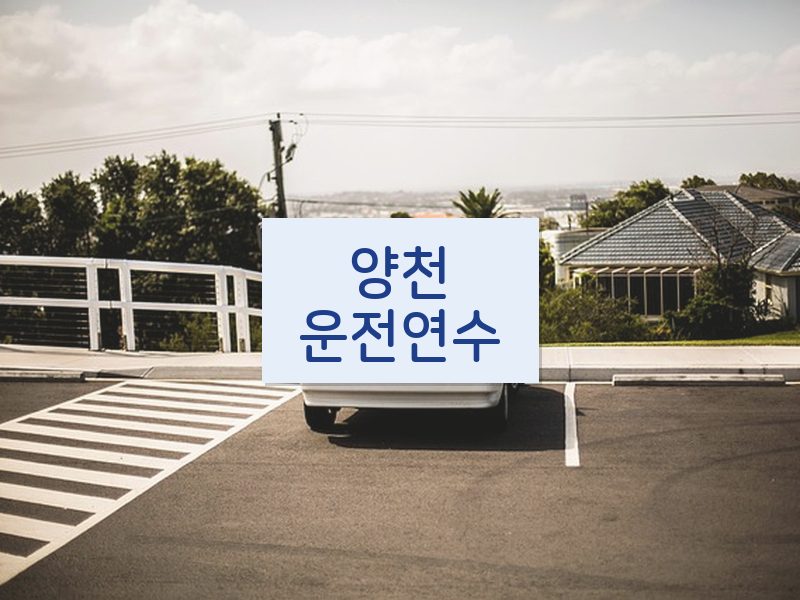 양천운전연수 후기