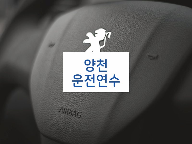 양천운전연수 후기