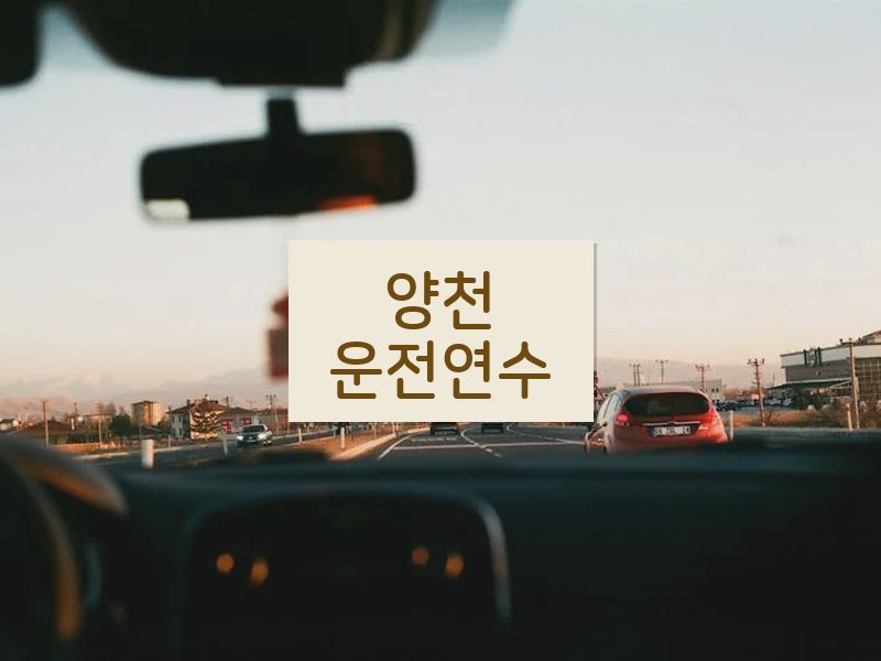 양천운전연수 후기