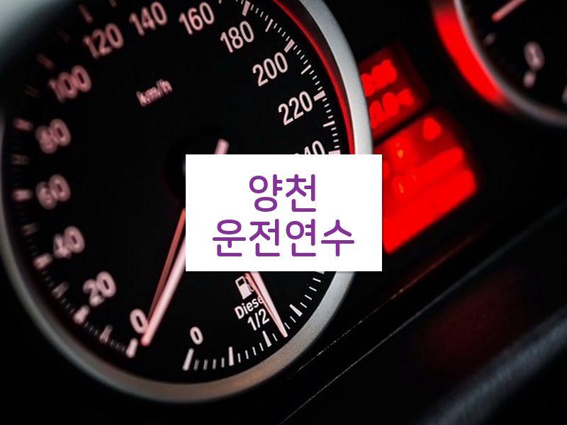 양천운전연수 후기