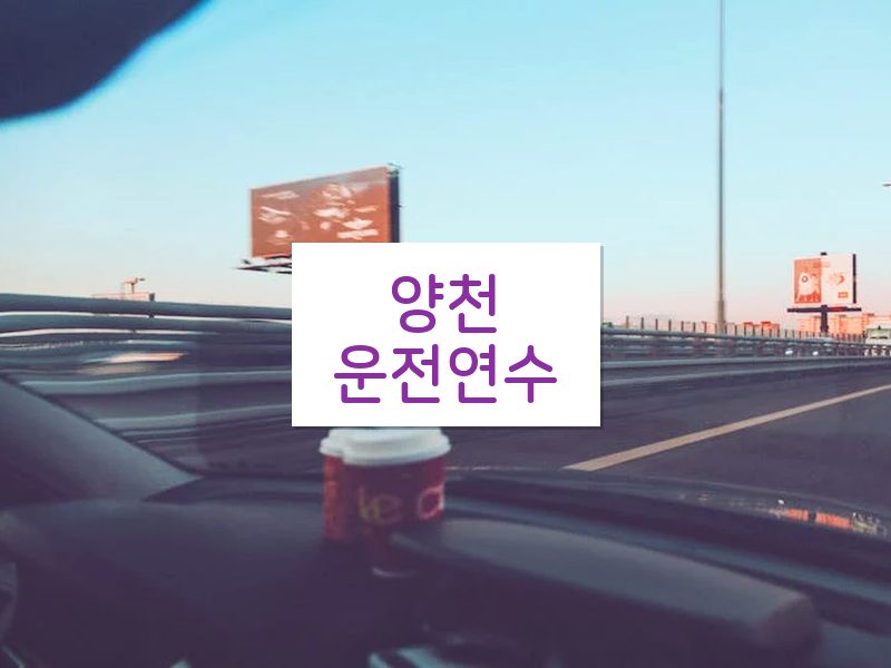 양천운전연수 후기