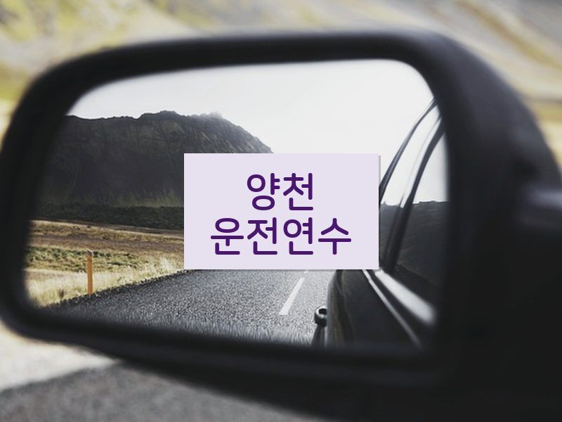 양천운전연수 후기