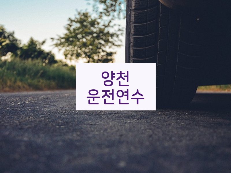 양천운전연수 후기