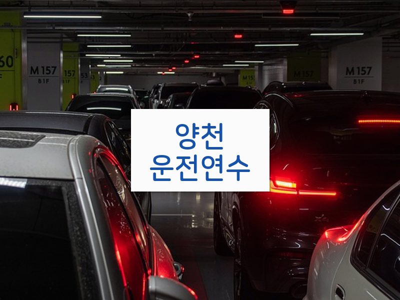 양천운전연수 후기