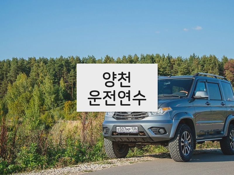양천운전연수 후기