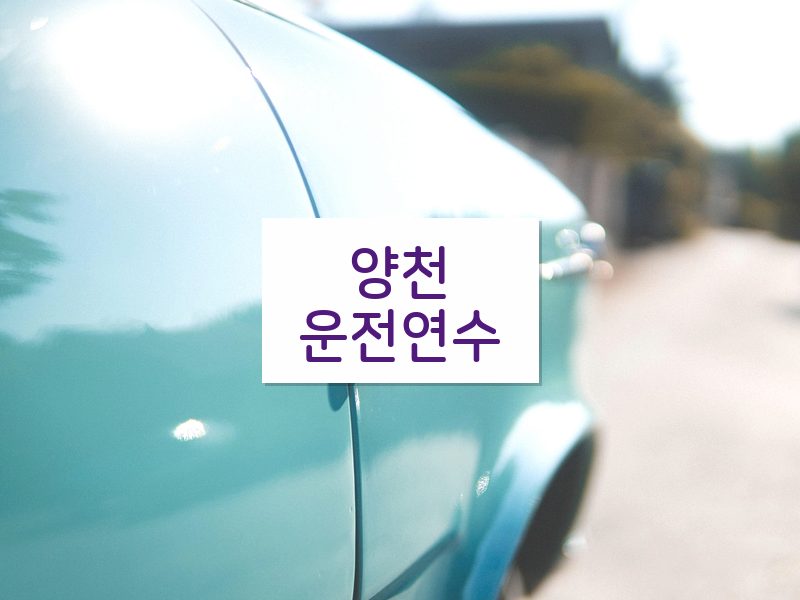 양천운전연수 후기