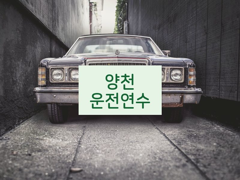 양천운전연수 후기