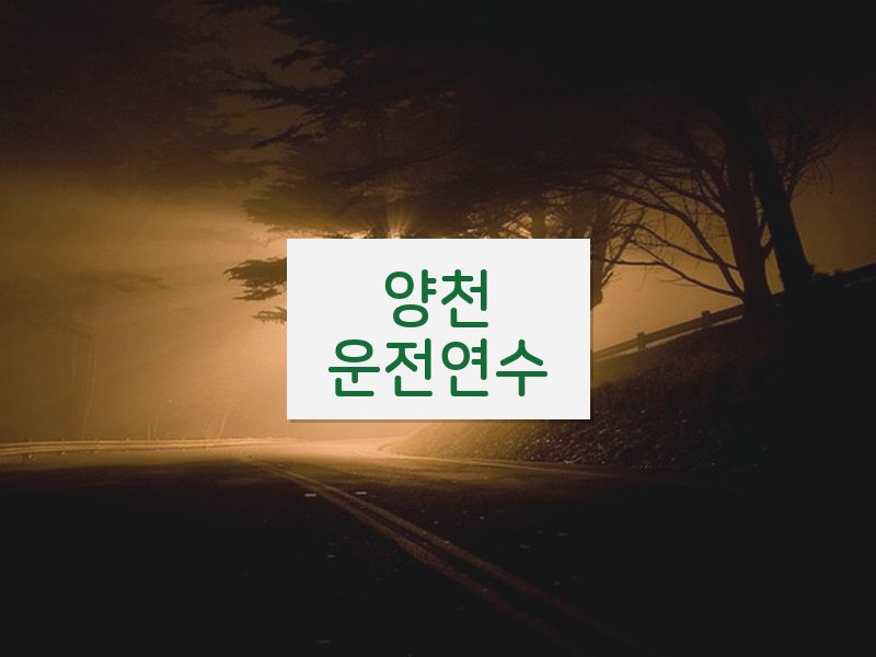 양천운전연수 후기