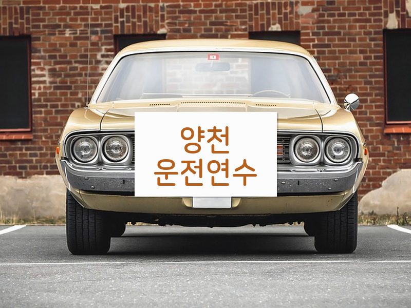 양천운전연수 후기