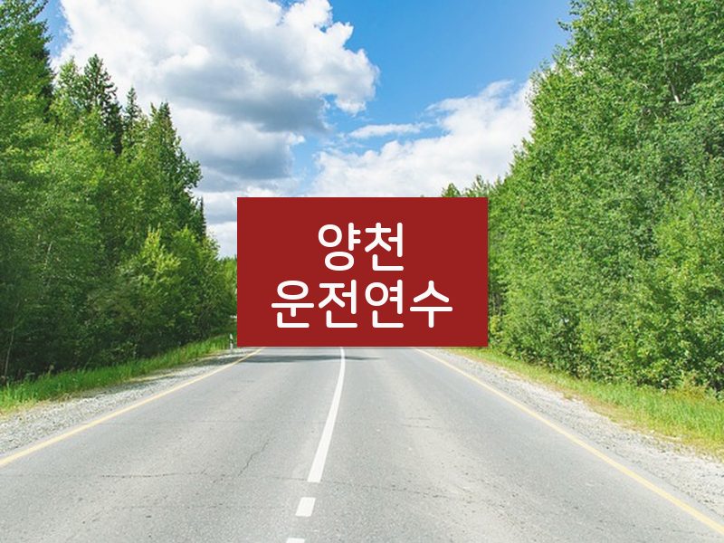 양천운전연수 후기