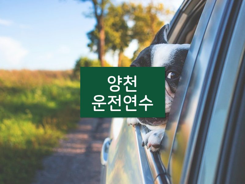 양천운전연수 후기