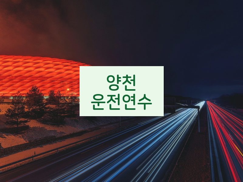 양천운전연수 후기