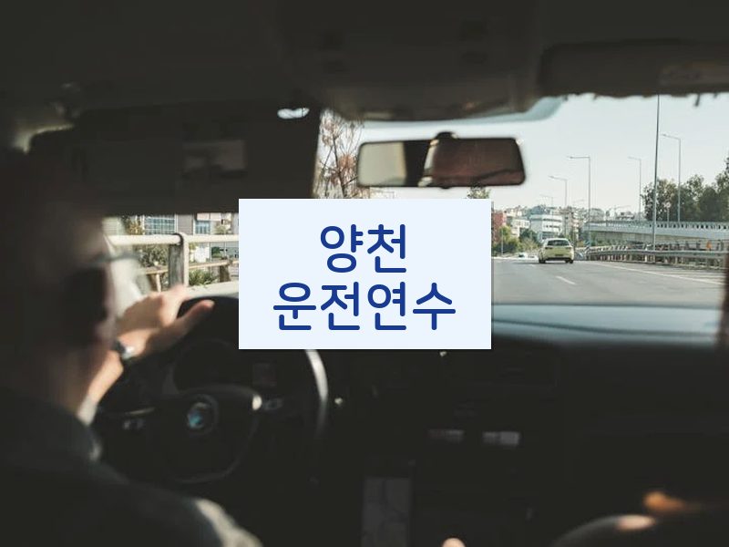 양천운전연수 후기