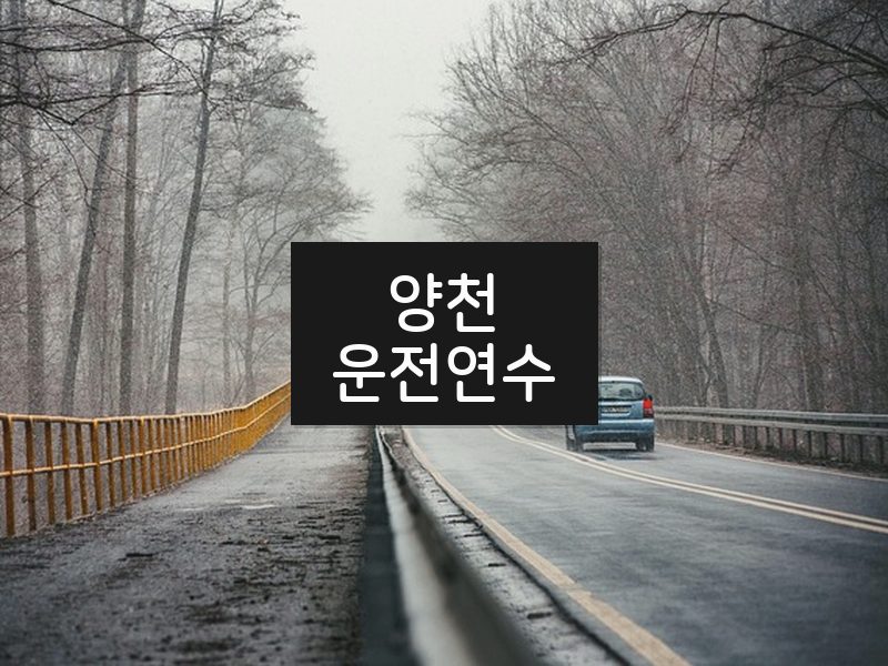 양천운전연수 후기