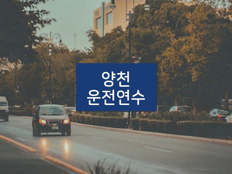 양천운전연수 후기