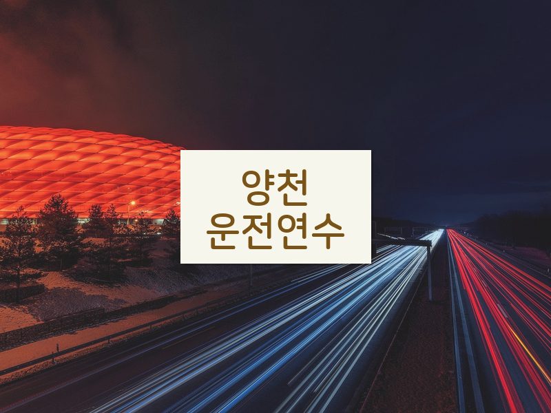 양천운전연수 후기