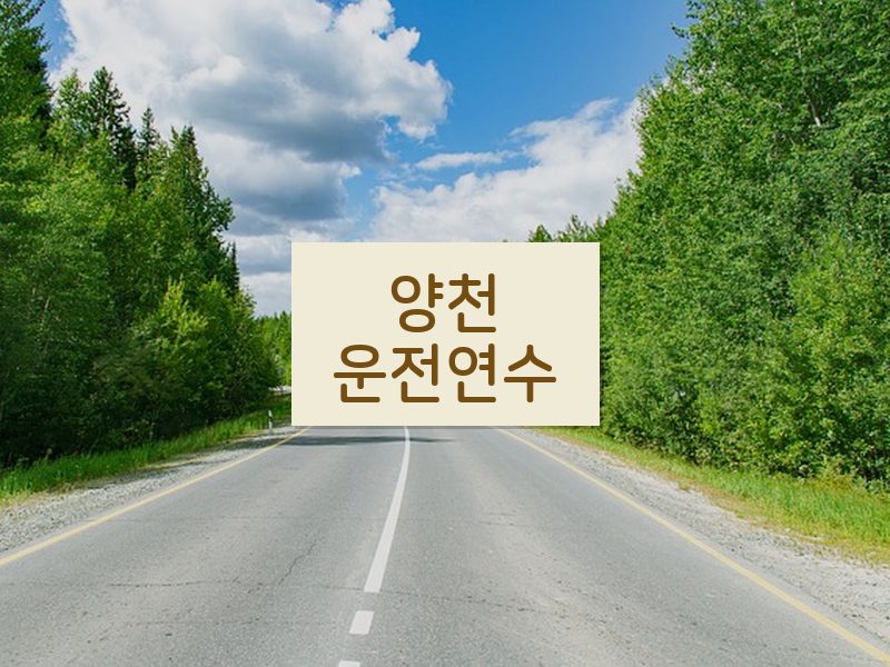 양천운전연수 후기