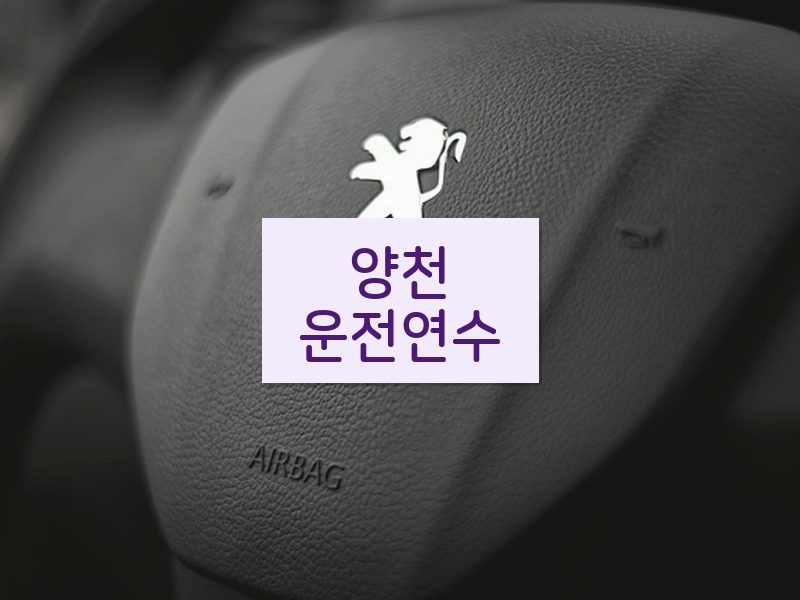 양천운전연수 후기