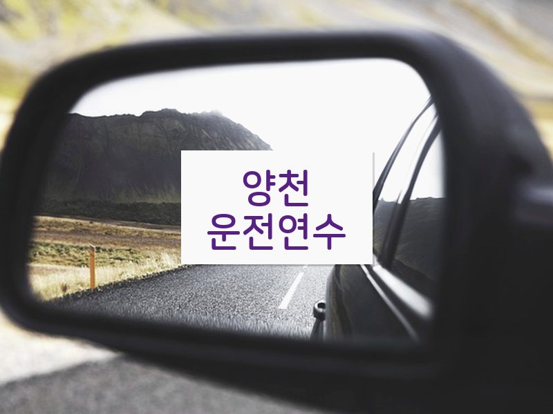 양천운전연수 후기