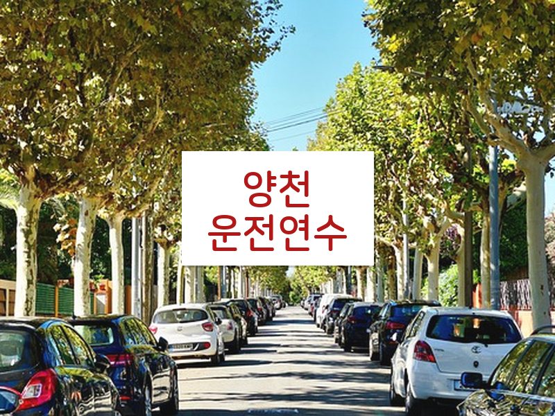 양천운전연수 후기