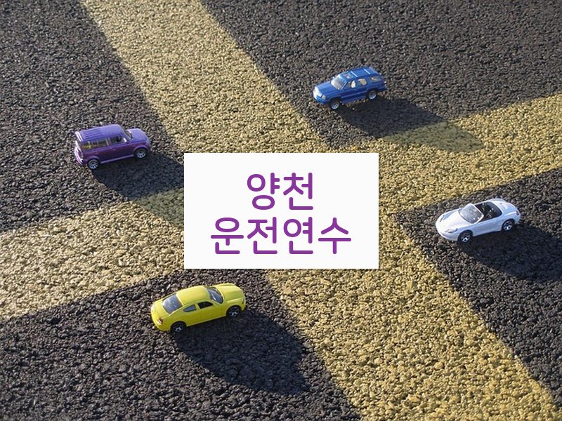 양천운전연수 후기