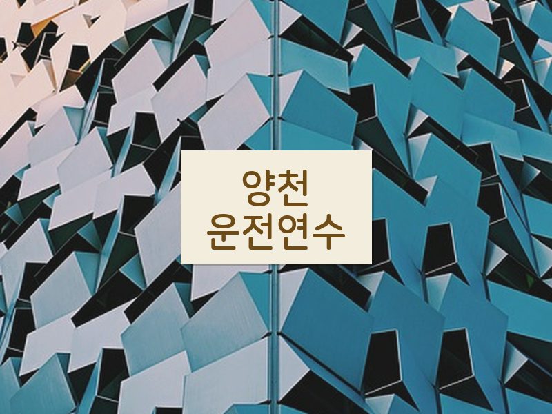 양천운전연수 후기