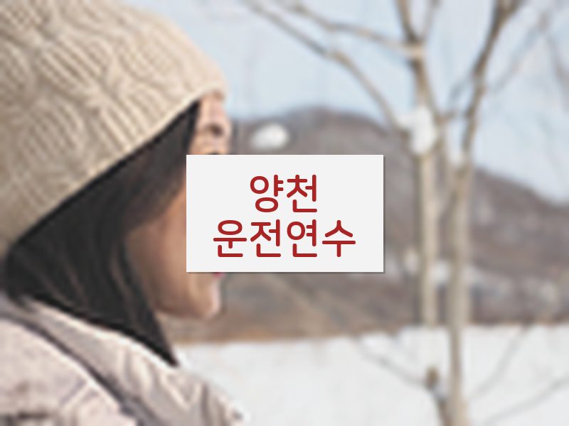 양천운전연수 후기