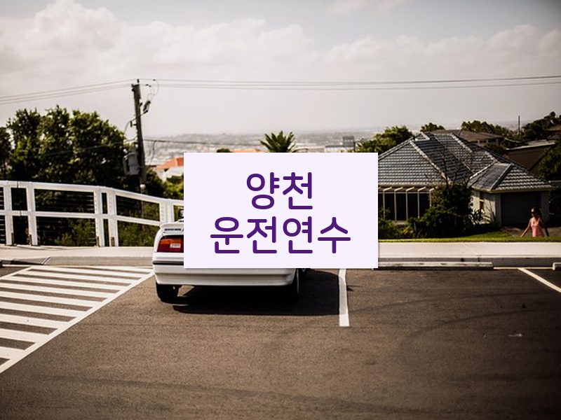 양천운전연수 후기