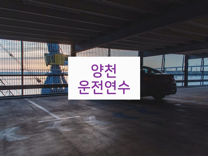 양천운전연수 후기