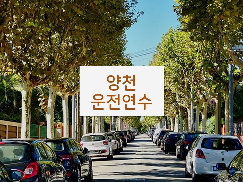 양천운전연수 후기