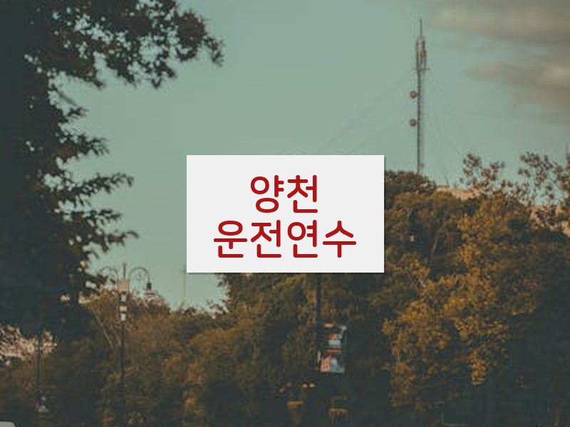 양천운전연수 후기