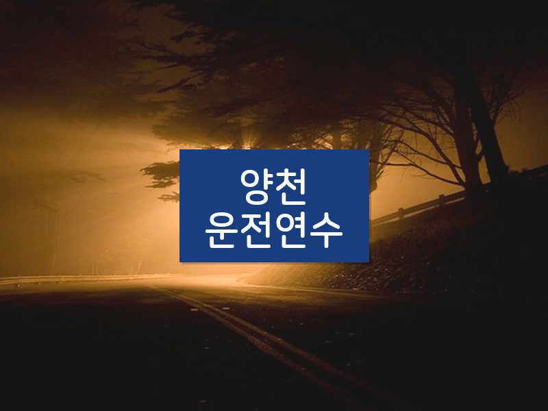 양천운전연수 후기