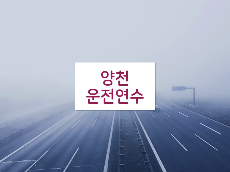 양천운전연수 후기