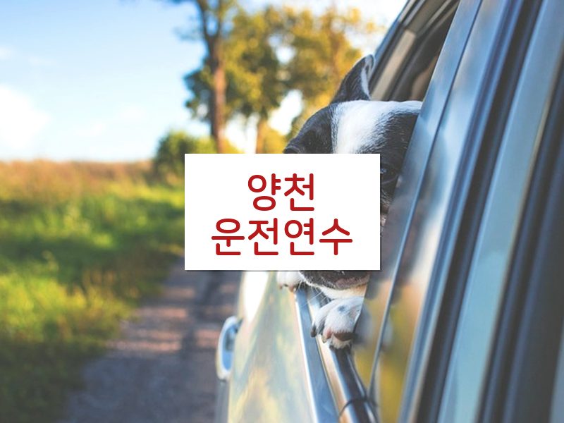 양천운전연수 후기