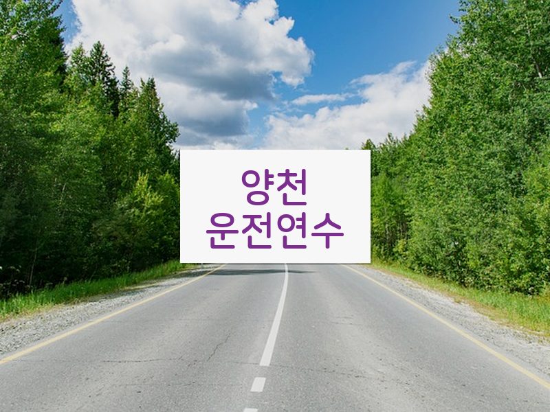 양천운전연수 후기